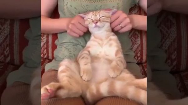 Полный расслабон.mp4