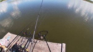 Рыбалка в мае - Красный Кут! Carp fishing! Crucian carp!??