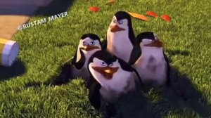 Мадагаскар Озвучка От Джавида (Madagascar Voice From Javid) 😂