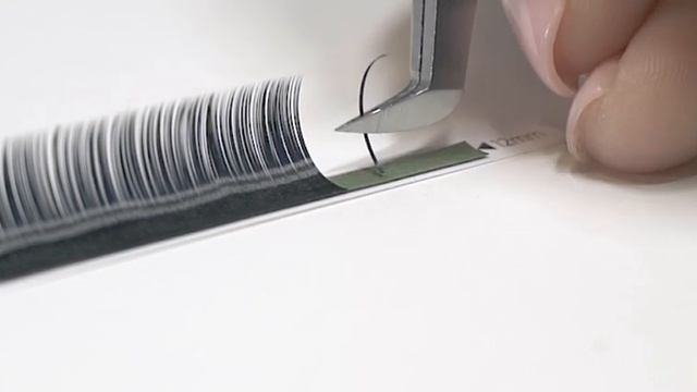 2D, 3D, 4D & 5D Lash Fans - By LashBase смотреть онлайн