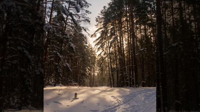 Быкова Вбивает в мозг своим адептам нужную информацию Деревенский дневник очень многодетной мамы смотреть онлайн