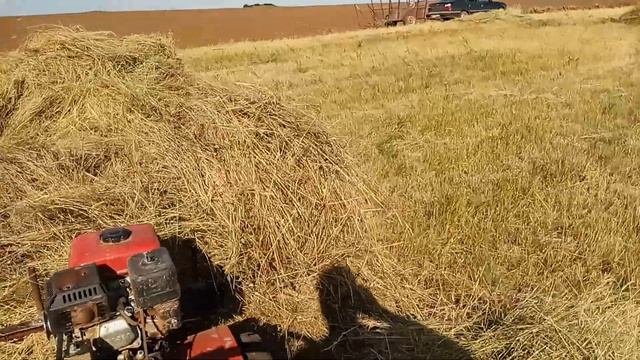 МОТОБЛОК АВАНГАРД. СГРЕБАЕМ СЕНО. В КОПНЫ. смотреть онлайн