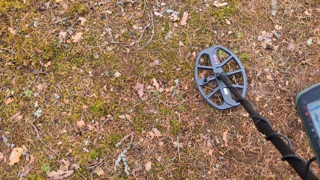 Minelab X-Terra PRO - first depth test and review of metal detector! смотреть онлайн