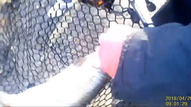 ТЕСТ СИЛИКОНОВОЙ ПРИМАНКИ Red Machine РОМАШКА 2.7" смотреть онлайн