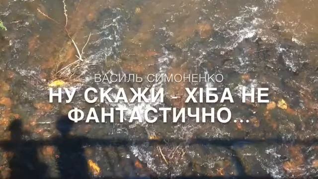 Василь Симоненко "Ну скажи - хіба не фантастично" смотреть онлайн