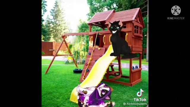 Подборка из тЕк тока. /castle cats/Проба, хы смотреть онлайн