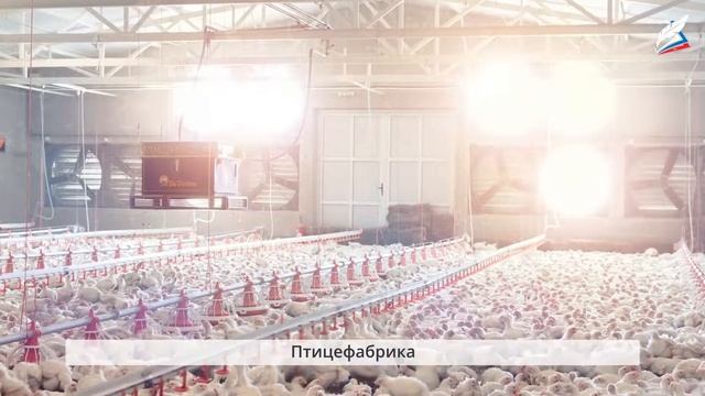 Животноводство как технология выращивания животных смотреть онлайн