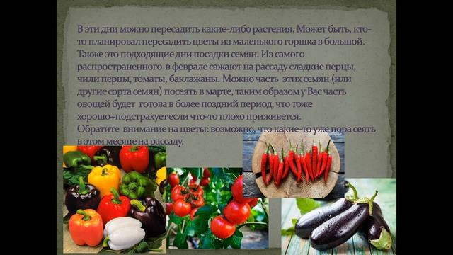 Благоприятные дни февраля 2022 года для посадки семян на рассаду смотреть онлайн