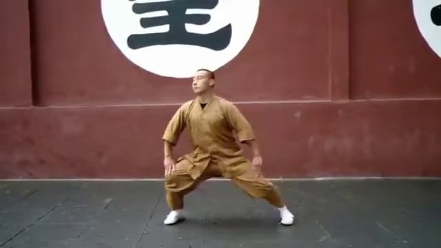 Ба Дуань Цзинь: 9 повторений в каждом отрезке в исполнении сифу Ши Миао Хай