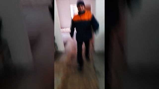 Трясогуска очень злой (жесть) смотреть онлайн