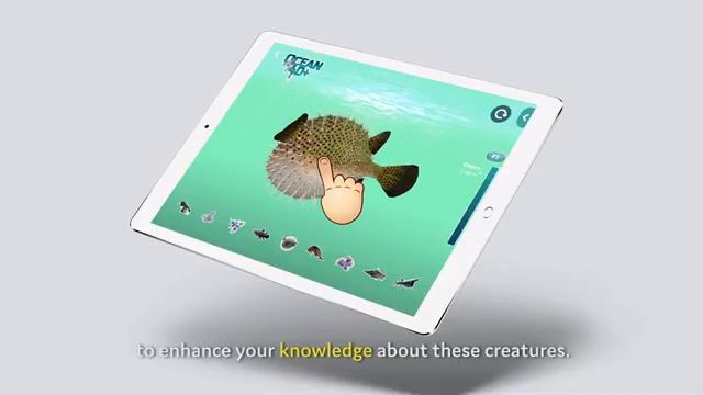 Introducing Ocean 4D+ Augmented Reality Flashcards | Octagon Studio смотреть онлайн