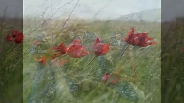 ФИЙЙÁУЫ ЖÁРÆГ, Осетинская народная песня; с 1:35 поёт Алла Хáдикова смотреть онлайн