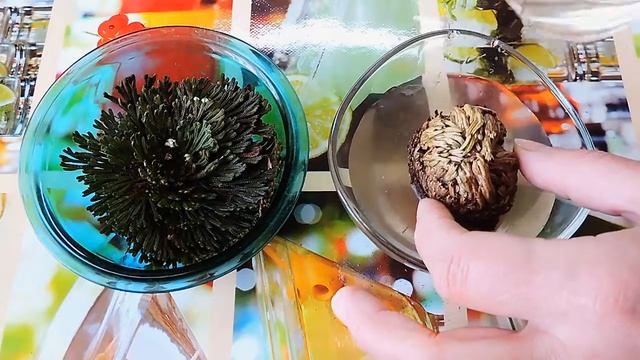 Иерихонская роза с АлиЭкспресс. смотреть онлайн