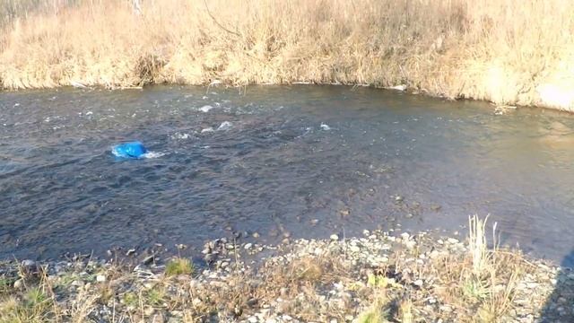 Хариус. Закрытие сезона. смотреть онлайн