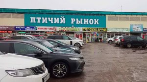 Птичий рынок Садовод