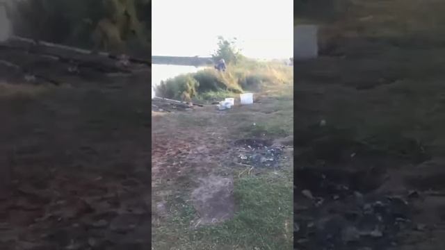 Думал, что наконец-то клюнул огромный сазан. А там ... смотреть онлайн