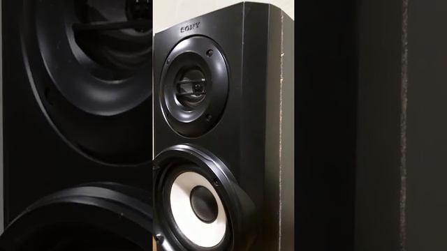 sony speaker flex смотреть онлайн