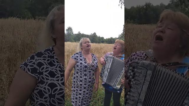 А в саду калина розквітає. смотреть онлайн