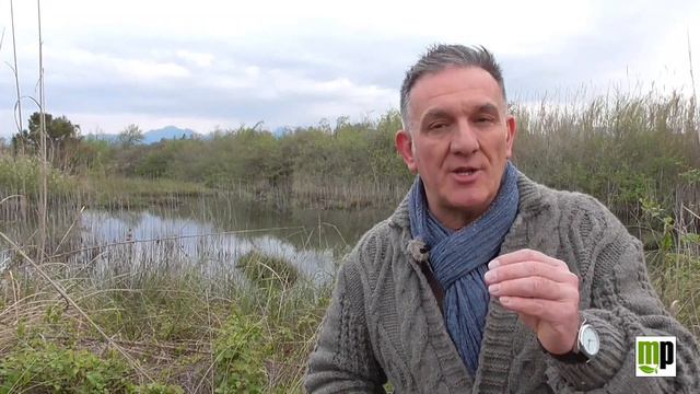 Pillola Etnobotanica - I Gerani
