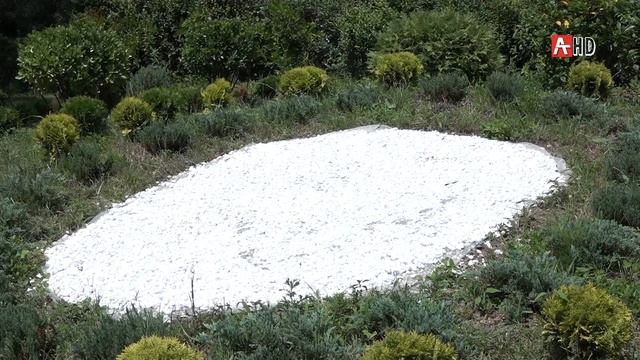 Кафе в гостинице Абхазия 13.08.2020 смотреть онлайн