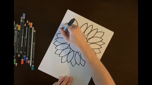 K-2 Sunflower Drawing смотреть онлайн
