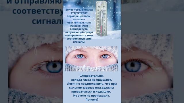 почему глаза не замерзают, а слезы солёные? смотреть онлайн