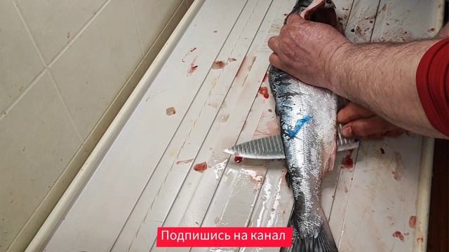 Учебник по Творческому Самовыражению