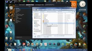 Как исправить ошибку "general protection fault" при запуске Borderlands. Решение!