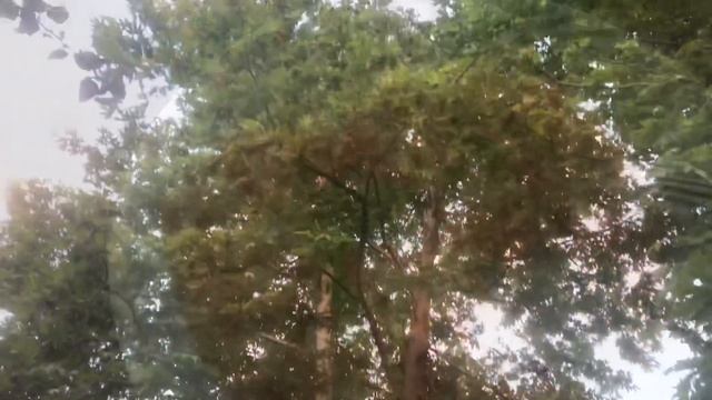 Яичница с Помидорами Завтрак по Бакински смотреть онлайн