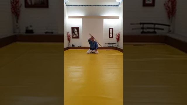 Онлайн тренировка по Айкидо 2 смотреть онлайн