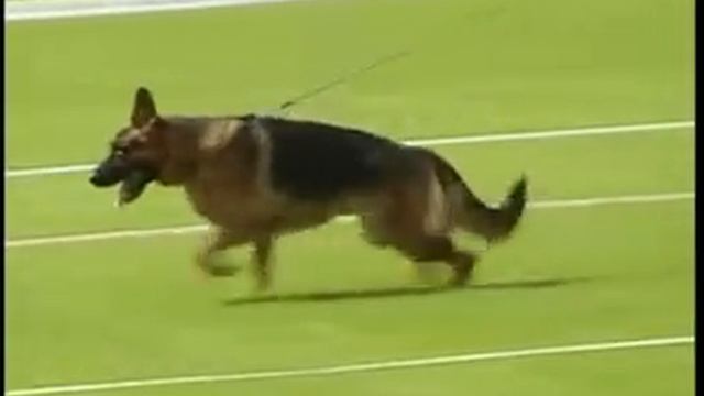 Ustinov vom Römerland.mp4 смотреть онлайн