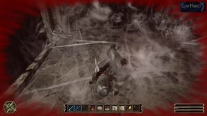 Мэддисон собирает сундуки что бы стать имбой в Готике 3 #8