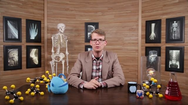 Respiratory System, Part 1: Crash Course Anatomy & Physiology #31 смотреть онлайн
