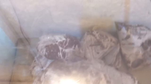 СВЕТОФОР ! И ЧЕГО ТОЛЬКО НЕТ !!! .//Удивительно !. // смотреть онлайн