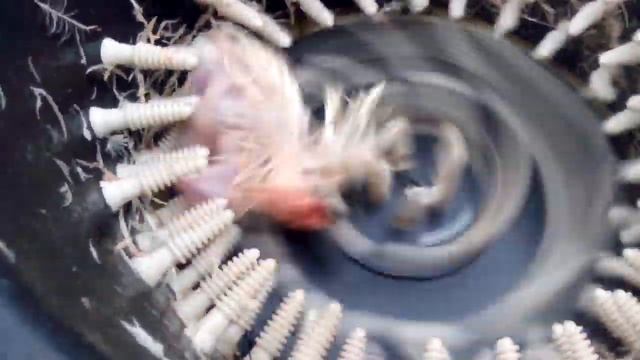 Перосьемка из Стиралки Малютка работа смотреть онлайн