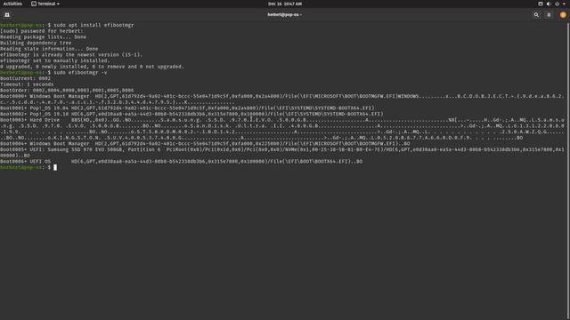Remove EFI Boot Entries on Linux смотреть онлайн
