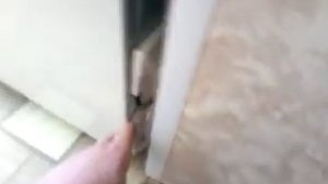 холодильник самсунг загудел