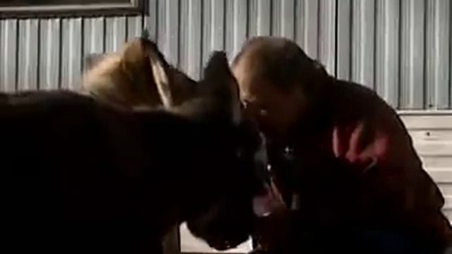 WHITE PPL AND BESTIALITY/ZOOPHILIA