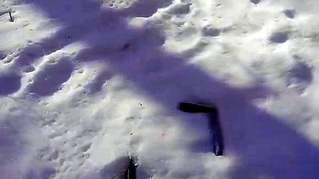 Кладбище домашних животных в парке Динамо, Воронеж смотреть онлайн