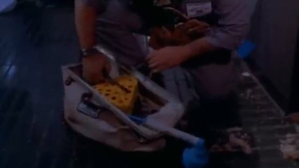 Attack of the 60 Foot Centerfolds (1995)