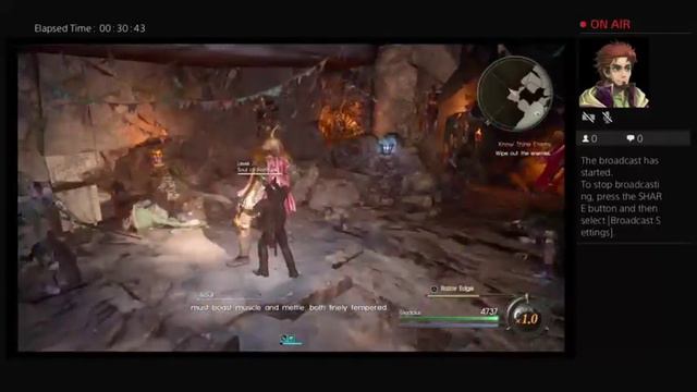 Episode Gladiolus
