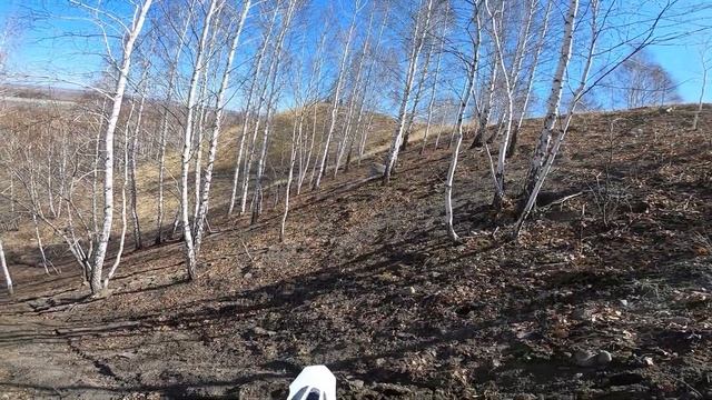 Коркинские отвалы 23 04 22 смотреть онлайн