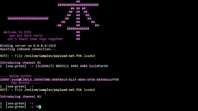 Install and configure EvilVM malicious compiler смотреть онлайн
