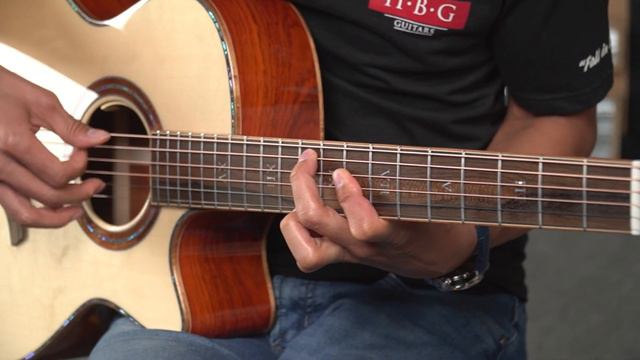 Furch Red Deluxe with Master Grade Alpine Spruce over Master Grade Cocobolo #93832 смотреть онлайн