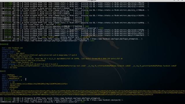 SSL Stripping and HSTS Bypass with BetterCap смотреть онлайн
