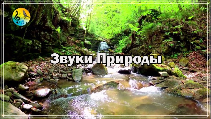 Звуки Природы От Стресса ? Расслабляющие Звуки Природы. Звук Лесной Реки С Водопадом ? Relax смотреть онлайн
