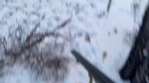 Охота на Белого медведя! (жестокое нападение)