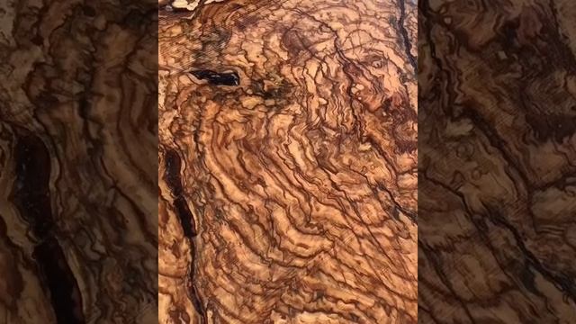 Сувель, нарост на дереве смотреть онлайн