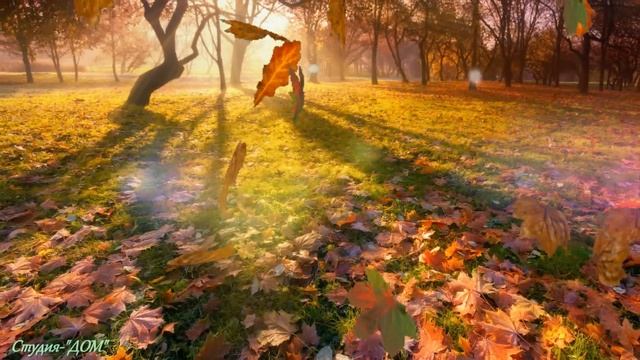 Владислав Медяник- Кабакам кабацкий дым ...1080р HD