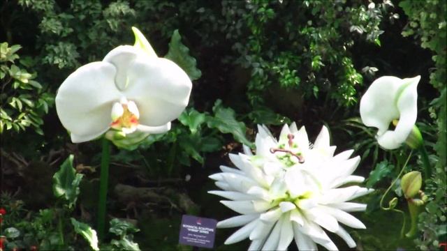 Сингапур День 3 - Сады на заливе (Gardens by the Bay) смотреть онлайн